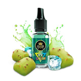 Holster E-Liquid - Ice Kaktuz